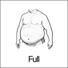 Body Shape